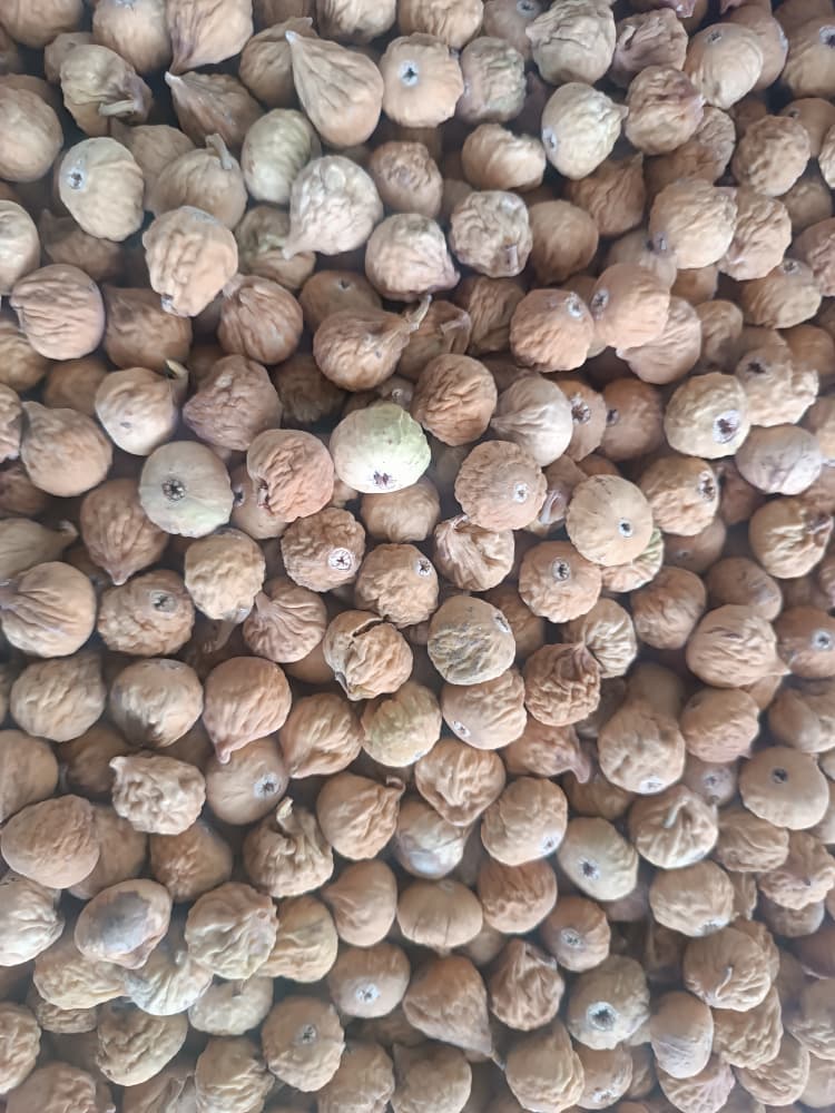 خرید ویژه انجیر معمولی ریز (A) + ارسال رایگان